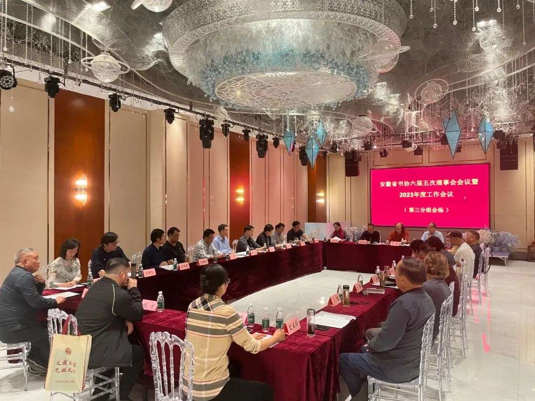 省书协六届五次理事会会议暨2023年度工作会议在无为召开(图7) 省书协六届五次理事会会议暨2023年度工作会议在无为召开(图7)