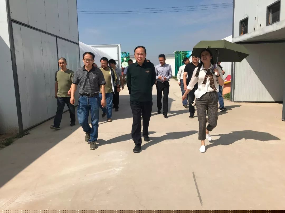 微信图片_20190920185537.jpg 省书协赴太和县旧县镇大张村开展文艺志愿服务活动(图5)