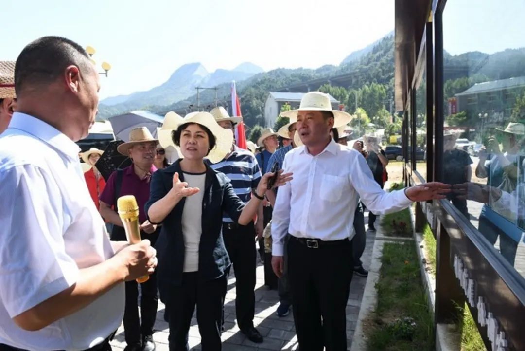 迎接迈博myball文联第七次代表大会│安徽文艺事业这五年(图5) 迎接迈博myball文联第七次代表大会│安徽文艺事业这五年(图5)