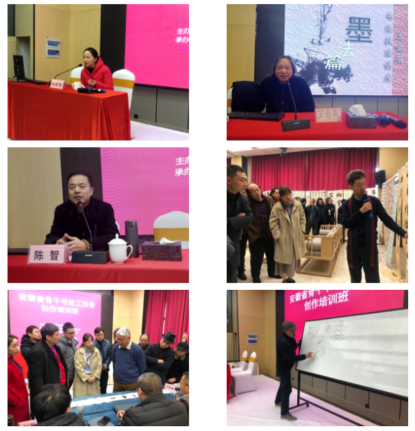 迈博myball中青年骨干书法工作者创作培训班在长丰开班(图5)