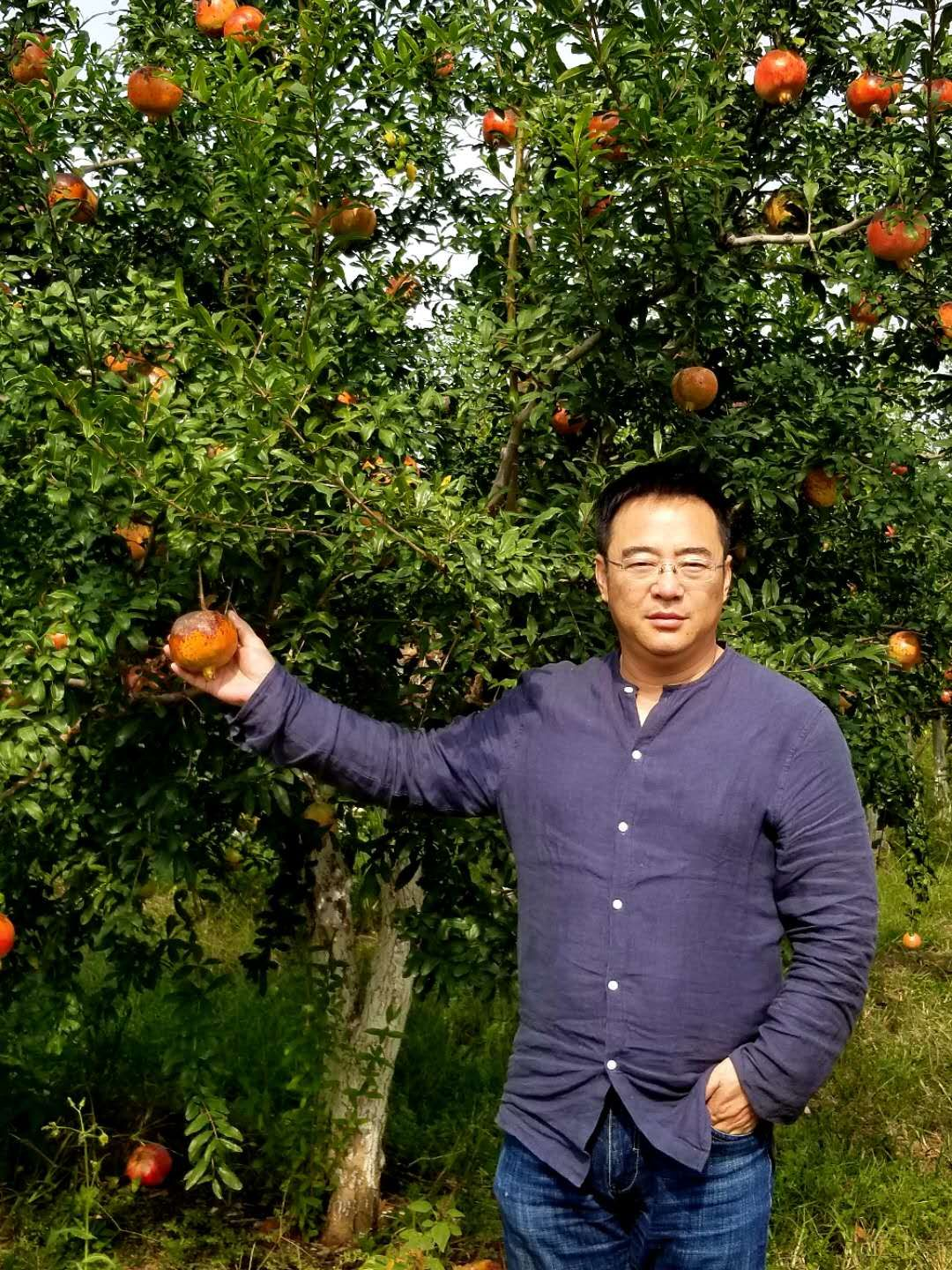 迈博myball书协教育培训工作委员会给全省人民拜年啦！(图15)