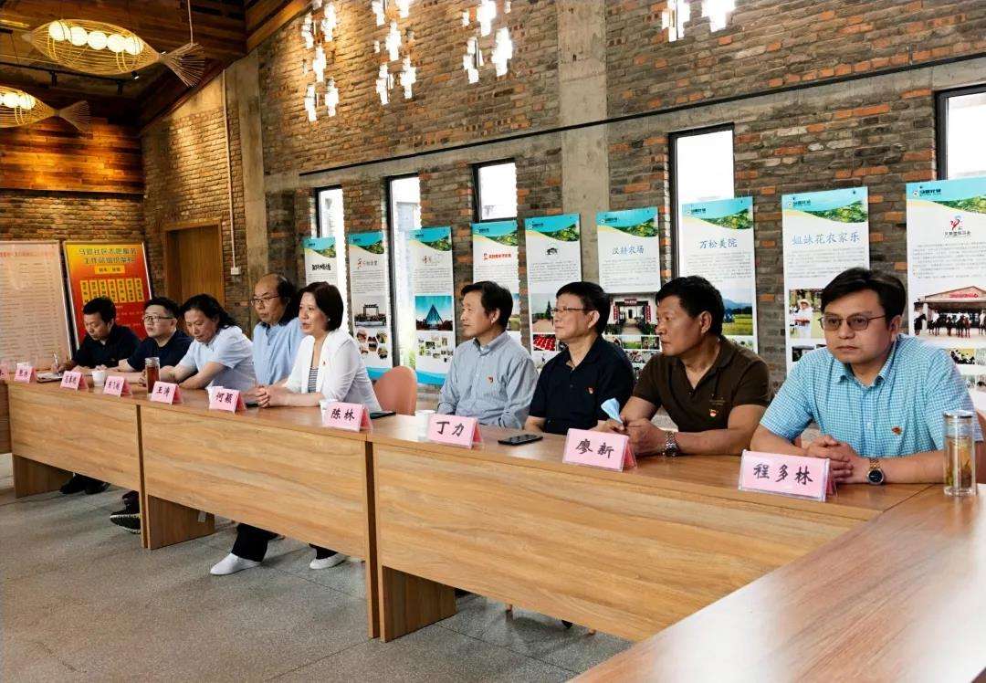 迈博myball文联美术书法小分队赴长丰开展“我为群众办实事”实践活动(图8)