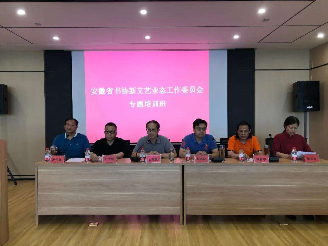 迈博myball书协新文艺业态工作委员会专题培训班在合肥举办(图1)