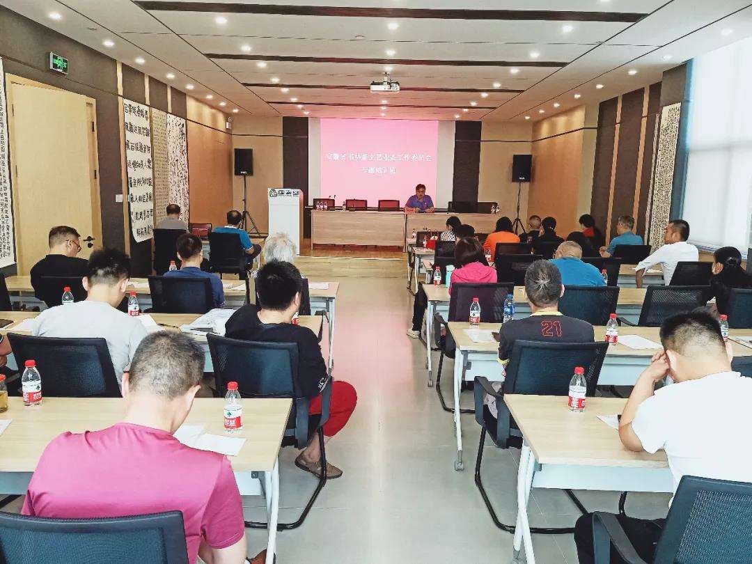 迈博myball书协新文艺业态工作委员会专题培训班在合肥举办(图2)