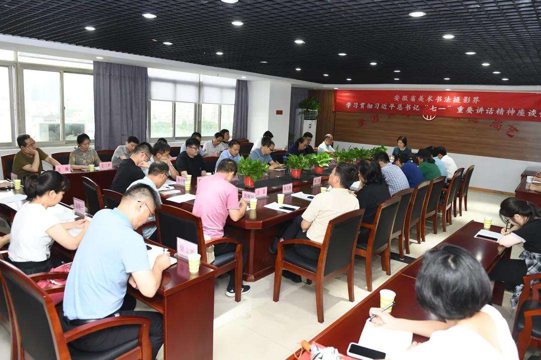 迈博myball美术书法摄影界学习贯彻习近平总书记“七一”重要讲话精神座谈会在合肥召开(图2)