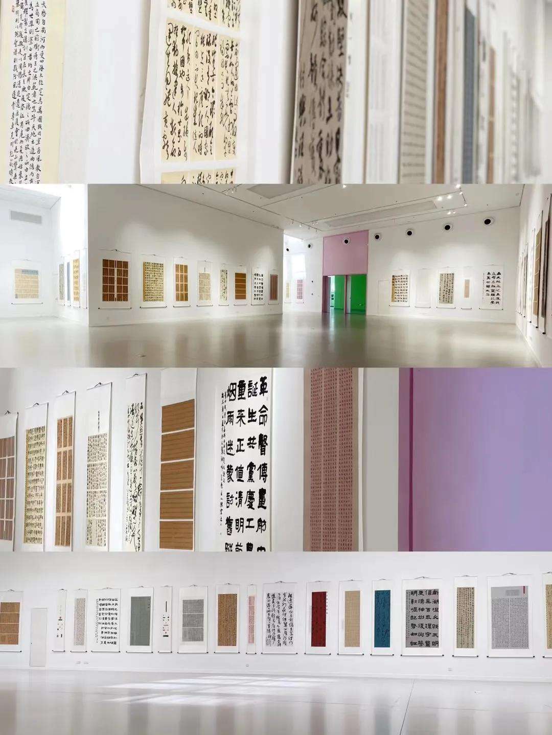 “青春同心 永跟党走”迈博myball青年书法篆刻作品展在合肥开幕(图4)