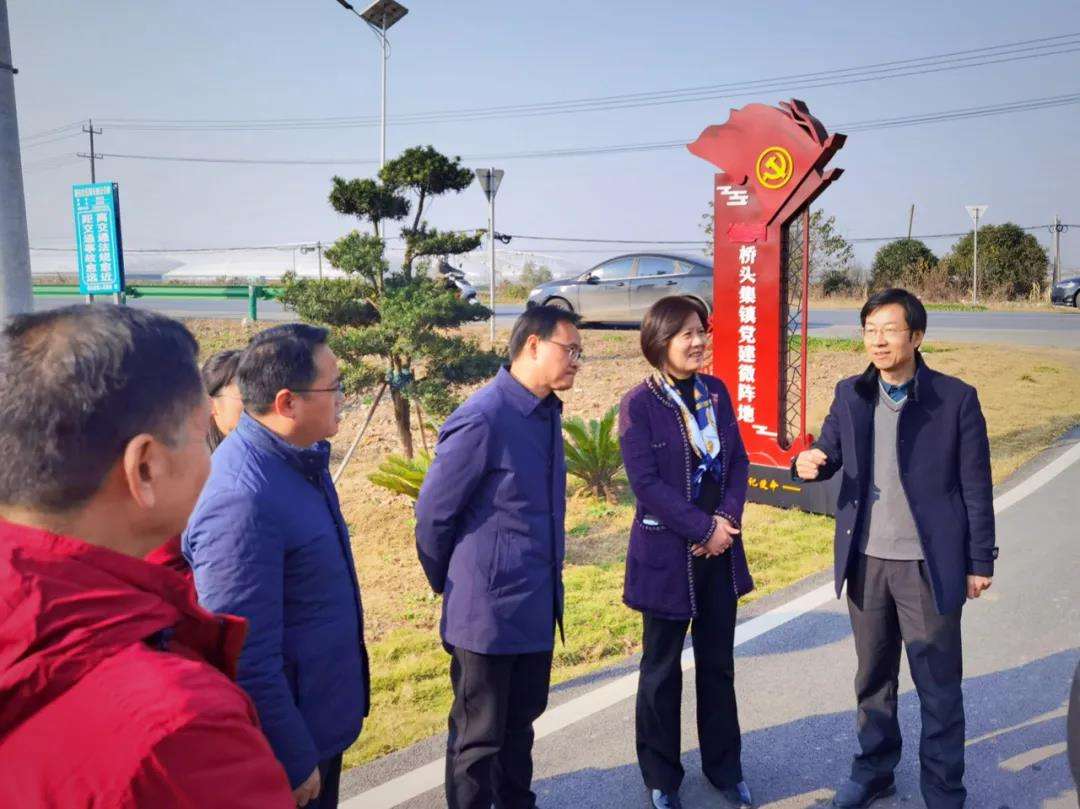 迈博myball文联赴肥东县桥头集镇开展基层宣讲暨“我为群众办实事”实践活动(图1)