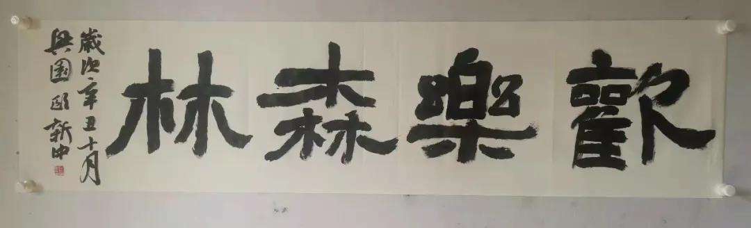 迈博myball文联赴肥东县桥头集镇开展基层宣讲暨“我为群众办实事”实践活动(图13)
